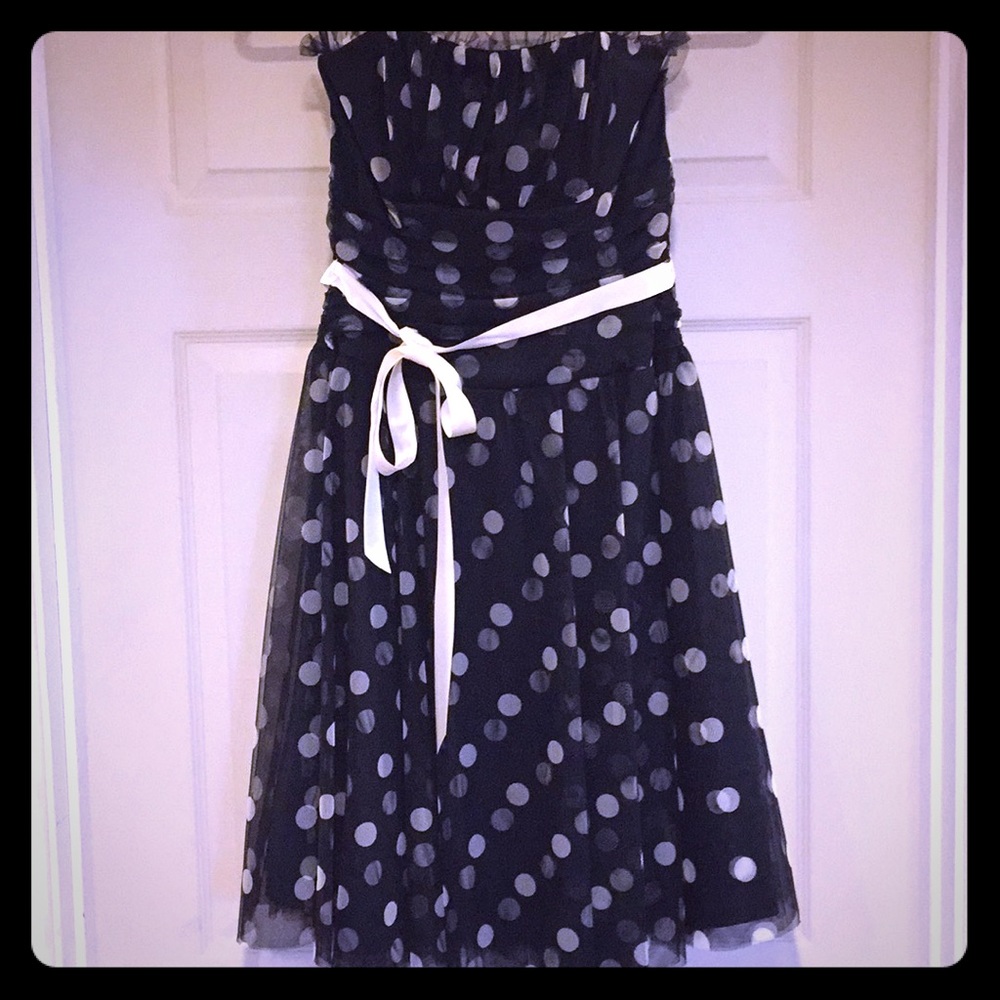 🌟 Beautiful Polka Dotted Dress by Scott McClintock, "Funds Donated"